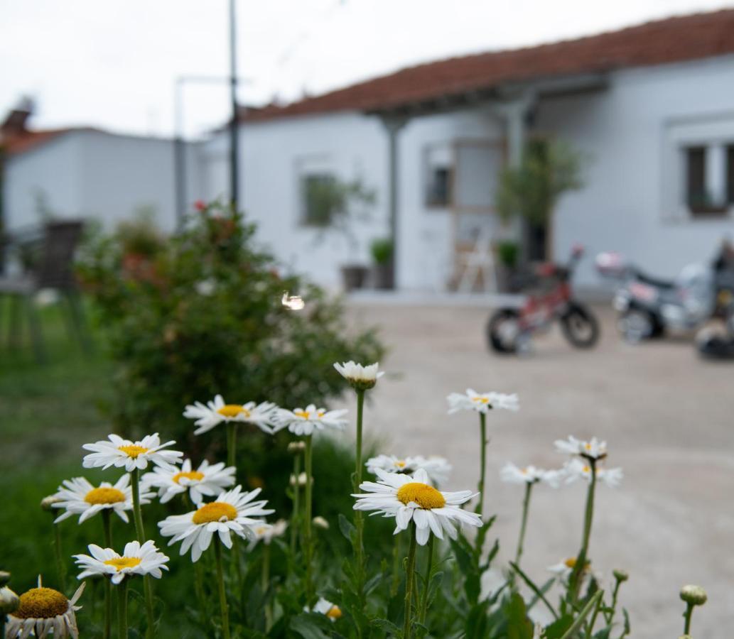 Agrikia Tis Vasilikis Ormília Exterior foto
